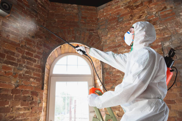 Mold Remediation for Rental Properties in Conrad, IA